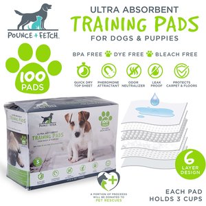Pounce + Fetch Ultra Absorbent Dog Training Pads, 100 count