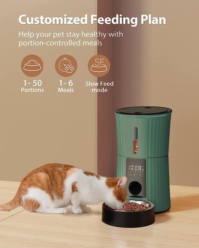 PATPET PF01 Timed 10s Voice Recorder Smart Automatic Cat & Dog Feeder, 4-lit, Green