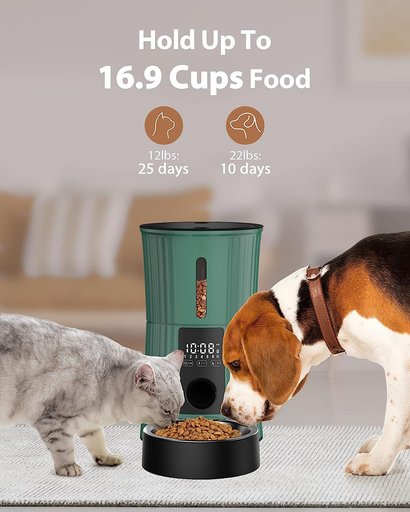 PATPET PF01 Timed 10s Voice Recorder Smart Automatic Cat & Dog Feeder, 4-lit, Green