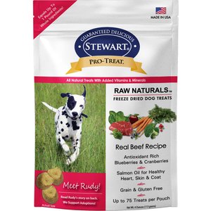 Stewart Pro-Treat Raw Naturals Real Beef with Berries & Flaxseed Freeze-Dried Dog Treats, 4-oz bag