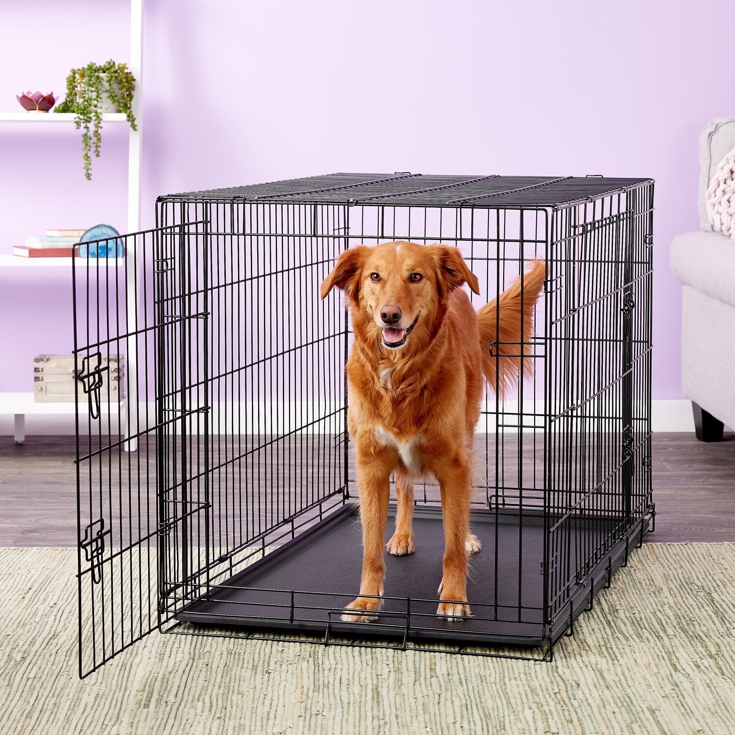 CARLSON PET PRODUCTS Secure & Compact Double Door Collapsible Wire Dog