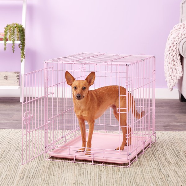 CARLSON PET PRODUCTS Secure & Compact Single Door Collapsible Wire Dog ...