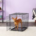 Carlson Pet Products Secure & Compact Single Door Collapsible Wire Dog Crate, Small