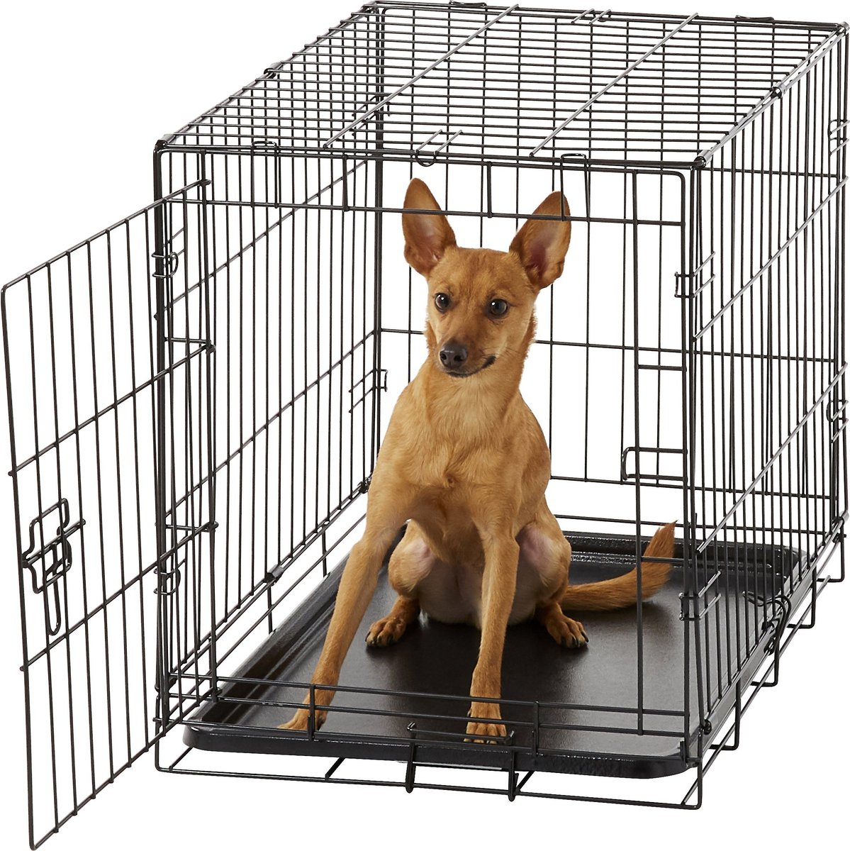 CARLSON PET PRODUCTS Secure & Compact Single Door Collapsible Wire Dog