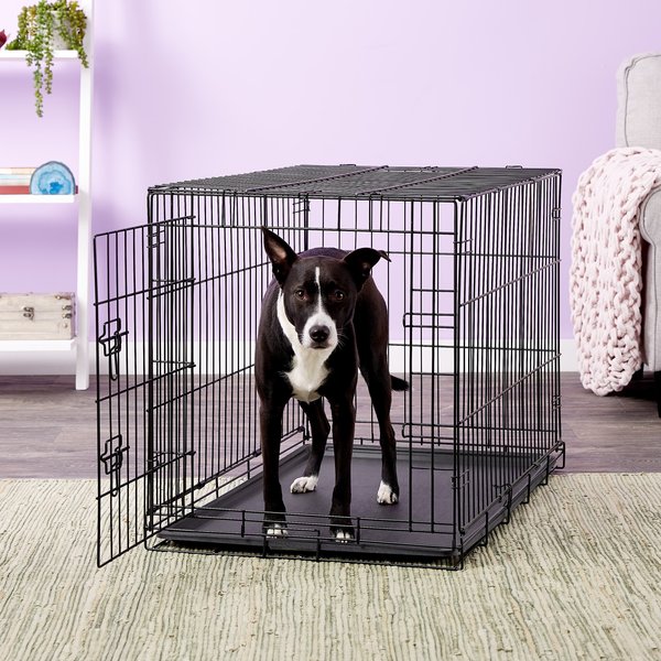 Discontinued CARLSON PET PRODUCTS Secure & Compact Single Door