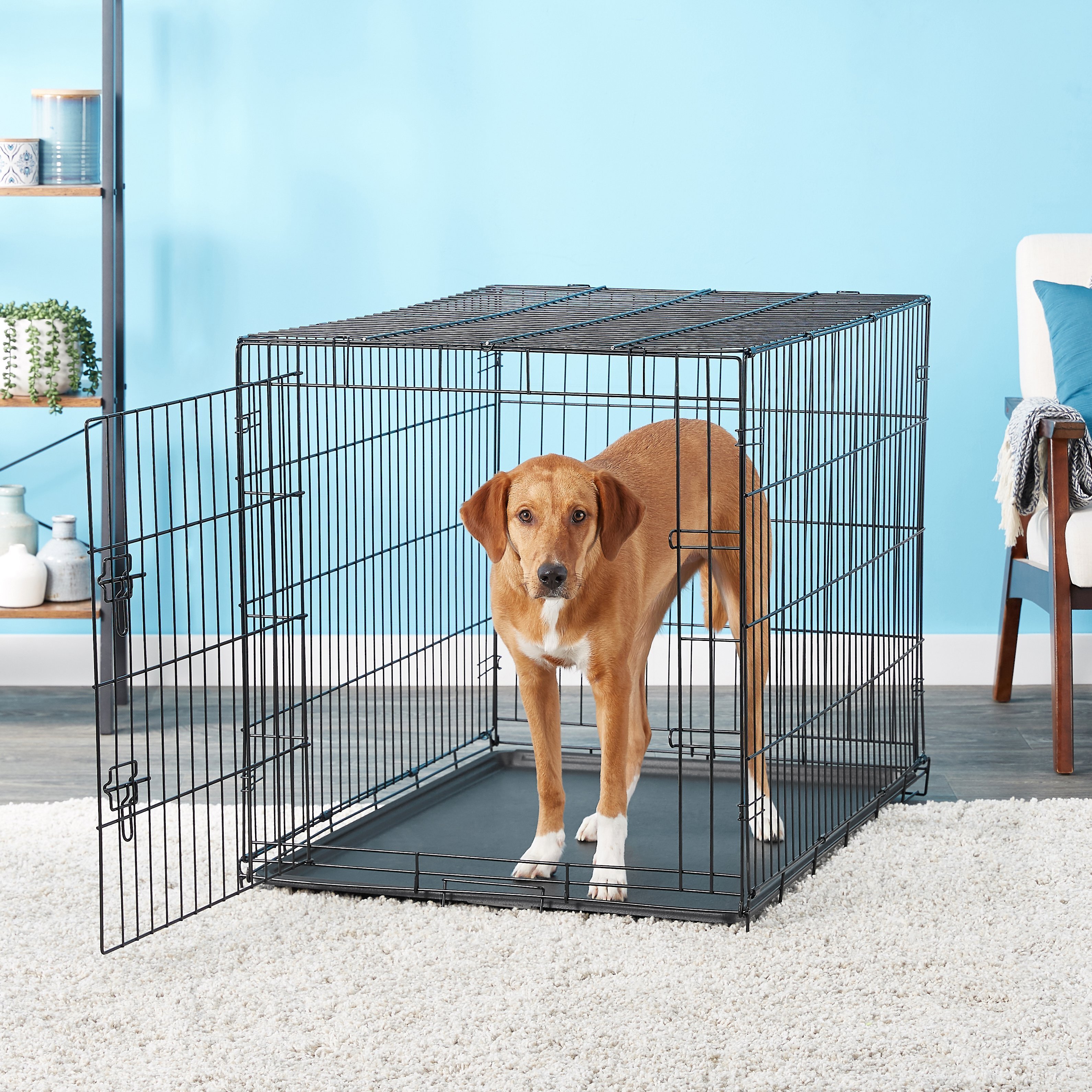 Carlson pet products secure and foldable hot sale single door metal dog crate