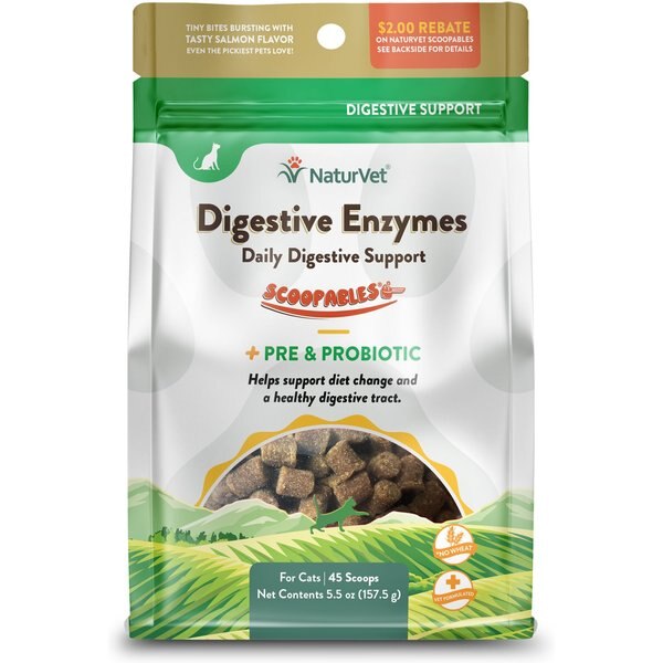 DR. GOODPET Digestive Enzymes Cat Supplement, 4oz bottle