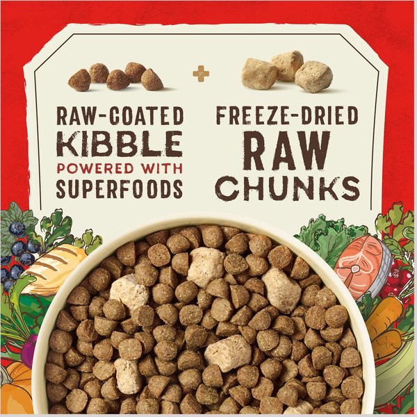Stella & Chewy's SuperBlends Raw Coated Wholesome Grains Puppy Cage-Free Chicken & Wild-Caught Salmon Recipe with Superfoods Dry Dog Food