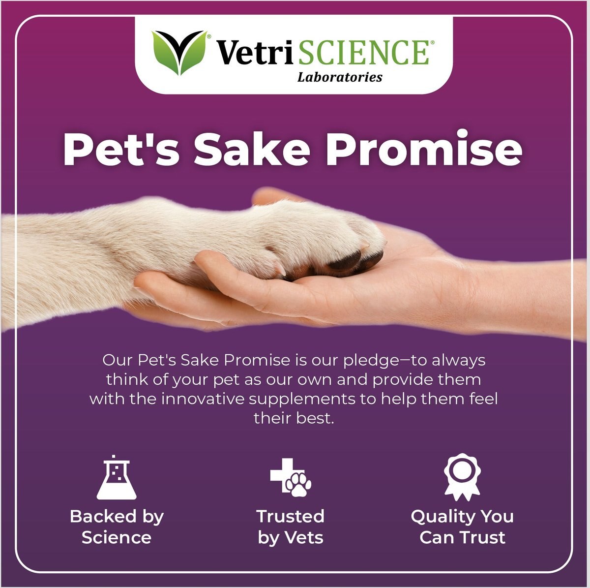 VetriScience Allergy & Itch Support Duck Flavored Allergy Plus Skin & Immune Supplement for Dogs, 75 Count