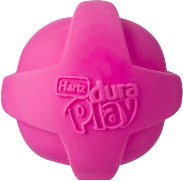 HARTZ Dura Play Ball Squeaky Latex Dog Toy Color Varies Small Chewy