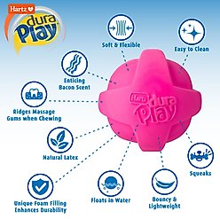 Hartz Dura Play Ball Squeaky Latex Dog Toy, Color Varies, Small slide 2 of 9