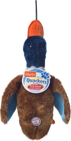 Hartz Nature's Collection Quackers Squeaky Plush Dog Toy, Color Varies, Large slide 1 of 8