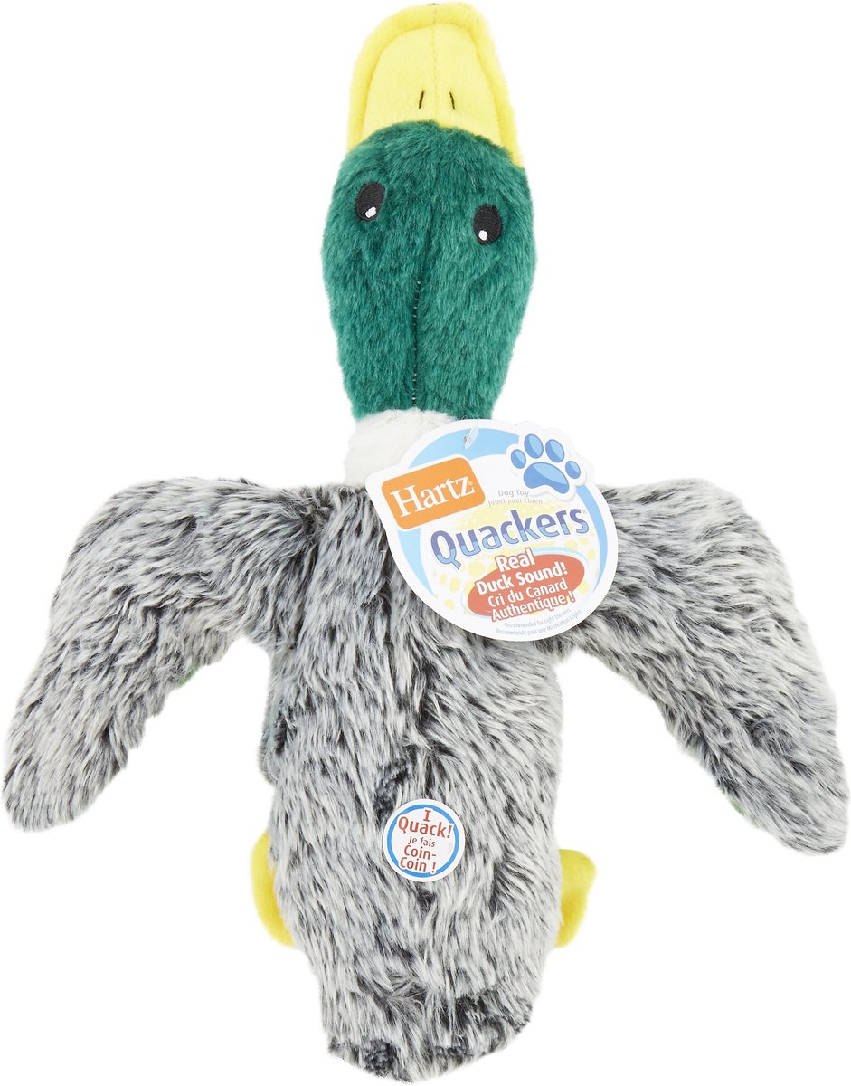 Hartz duck dog clearance toy