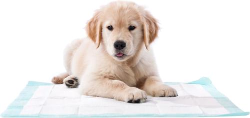 Show full view: Hartz Home Protection Unscented Odor Eliminating Gel Dog Pads, 21 x 21 in, 100 count slide 6 of 8