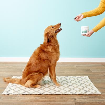 Show full view: TRP-Tri-COX Mini Soft Chews Joint Support Dog Supplement, 120 count slide 7 of 8