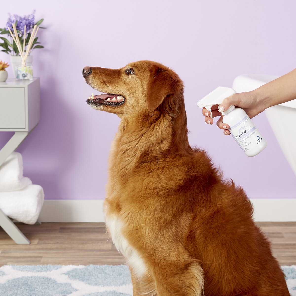 TRIZCHLOR 4 Spray Conditioner for Dogs, Cats & Horses, 8oz bottle