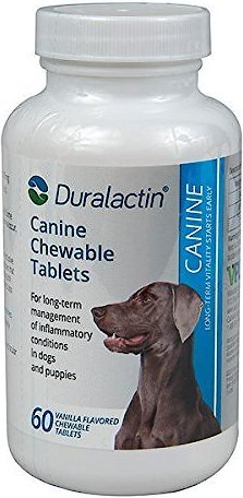 Duralactin Canine Chewable Vanilla Flavored Tablet Dog Supplement, 60 count slide 1 of 4