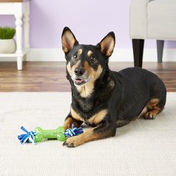 Mammoth Bone with Cloth Rope for Dogs, Color Varies, Small slide 2 of 4