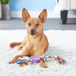 Mammoth Cloth Squeaky Rope for Dogs, Color Varies, Small slide 2 of 4