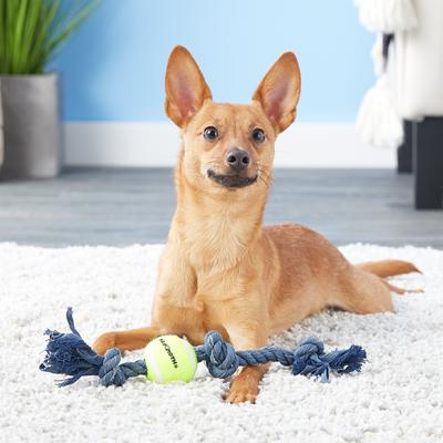 Show full view: Mammoth Denim 3 Knot Rope Tug with Tennis Ball Dog Toy, Mini slide 3 of 5