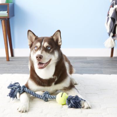 Show full view: Mammoth Denim 3 Knot Rope Tug with Tennis Ball Dog Toy, Medium slide 3 of 8
