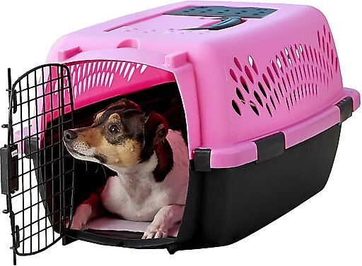 Aspen Pet Dog & Cat Kennel, Color Varies