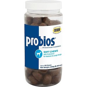 Probios Soft Chews with Probiotics Supplement for Medium & Large Dogs, 60 count
