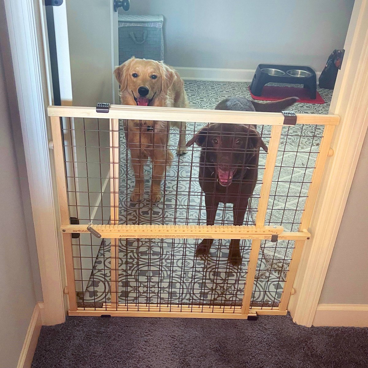 MYPET Extra Wide Wire Mesh Gate for Dogs & Cats
