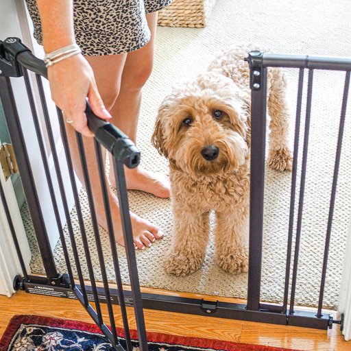 MyPet Windsor Arch Pet Gate for Dogs & Cats