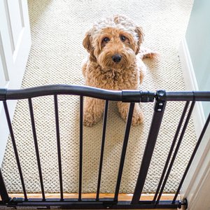 MyPet Windsor Arch Pet Gate for Dogs & Cats