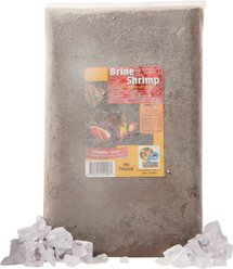 V2O Aquarium Foods Brine Shrimp Flatpack Fish Food, 1-kg