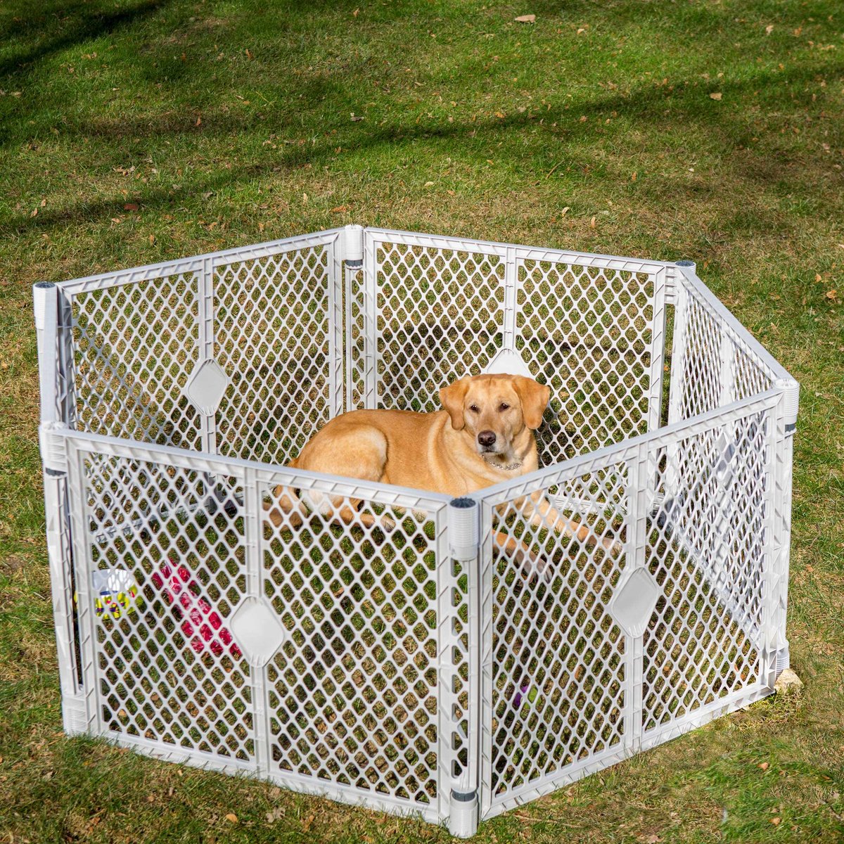 Plastic dog shop exercise pen