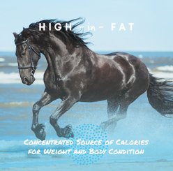 Manna Pro Cool Calories 100 Healthy Weight Gain Equine Dry Fat Horse Supplement, 8-lb bag slide 2 of 7
