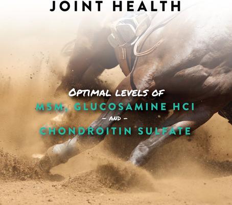 Show full view: Manna Pro Sho-Flex Formulated with MSM Glucosamine & Chondroitin Horse Supplement, 5-lb tub slide 3 of 9