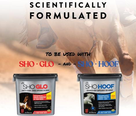 Show full view: Manna Pro Sho-Flex Formulated with MSM Glucosamine & Chondroitin Horse Supplement, 5-lb tub slide 6 of 9