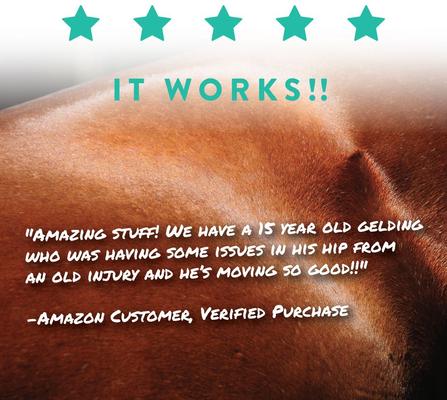 Show full view: Manna Pro Sho-Flex Formulated with MSM Glucosamine & Chondroitin Horse Supplement, 5-lb tub slide 7 of 9