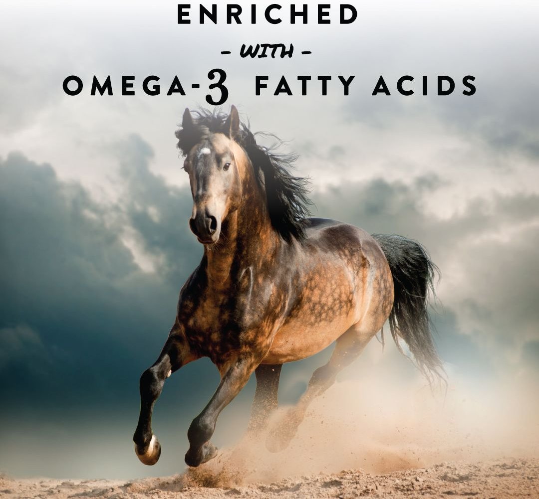 MANNA PRO ShoHoof Biotin & Zinc Methionine for Healthy Hooves Horse