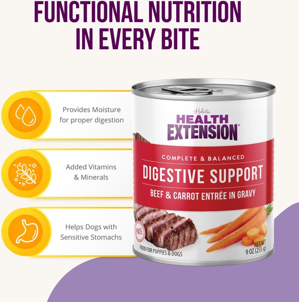 Health Extension Digestive Support Beef & Carrot Entrée in Gravy Dog Food, 9-oz can, case of 12