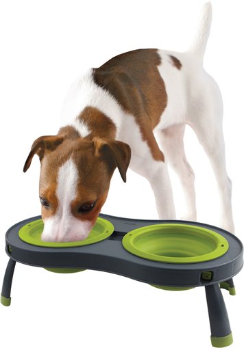 Dexas Popware for Pets Double Non-Skid Elevated Dog & Cat Bowls, Green, 2.5-cup