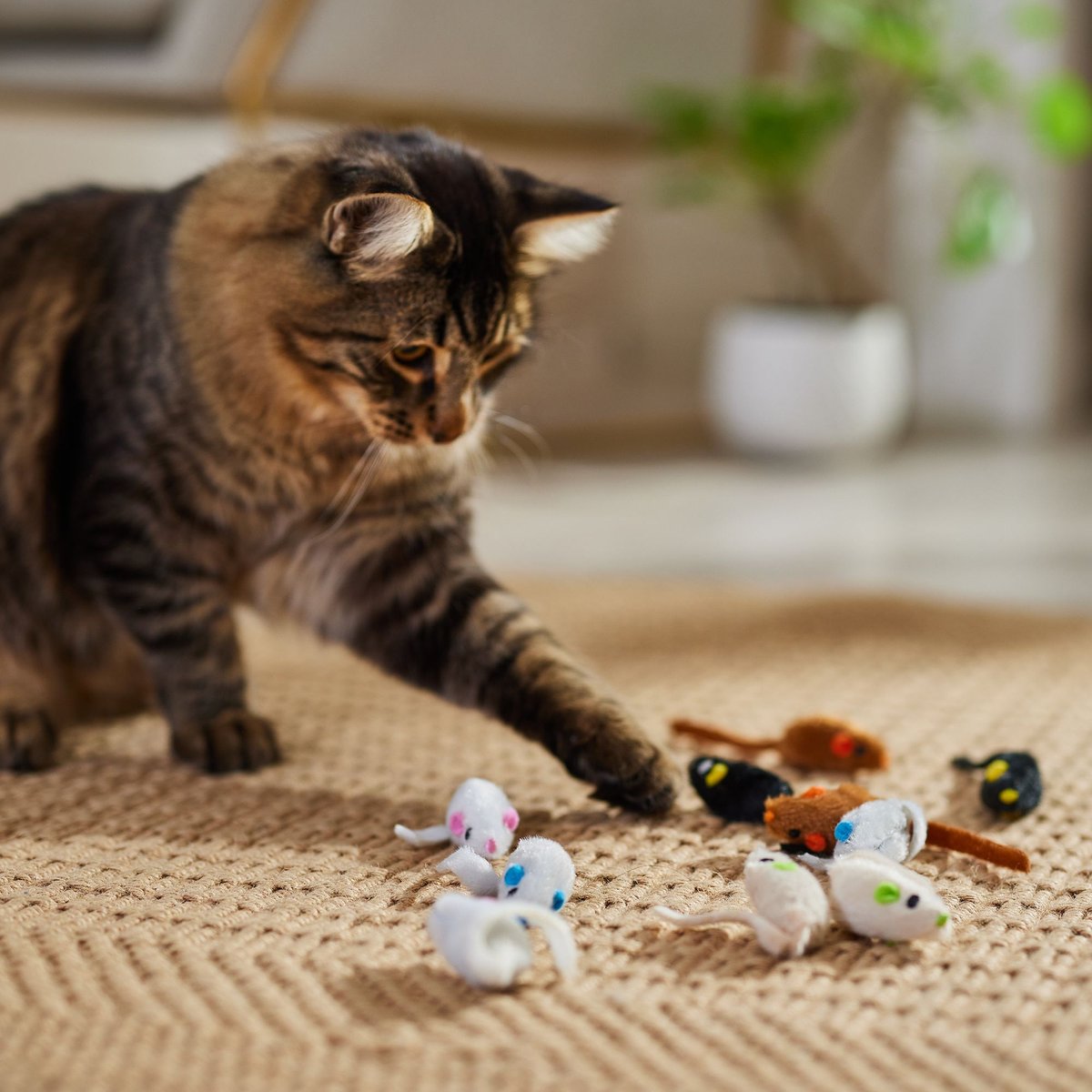 FRISCO Mouse Cat Toy with Catnip, Bright Neutral Multicolor, 10 count