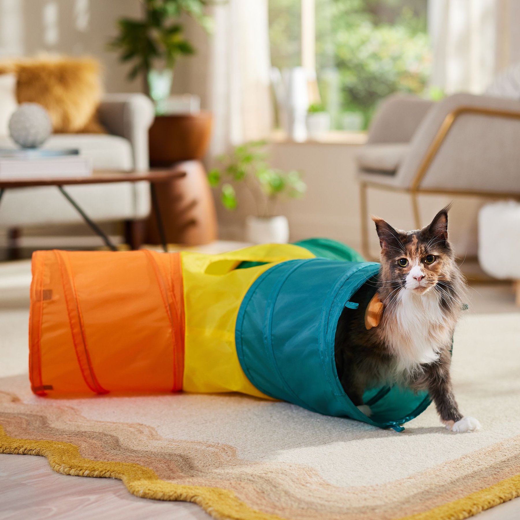 Three way cat fashion tunnel