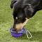 Show in main carousel: Dexas Popware for Pets Collapsible Travel Non-Skid Silicone Dog & Cat Bowl with Carabiner, Purple, 1-cup slide 2 of 7