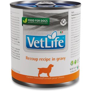 ROYAL CANIN VETERINARY DIET Adult Glycobalance Loaf in Sauce Canned Dog Food 13.4 oz case of 24 Chewy