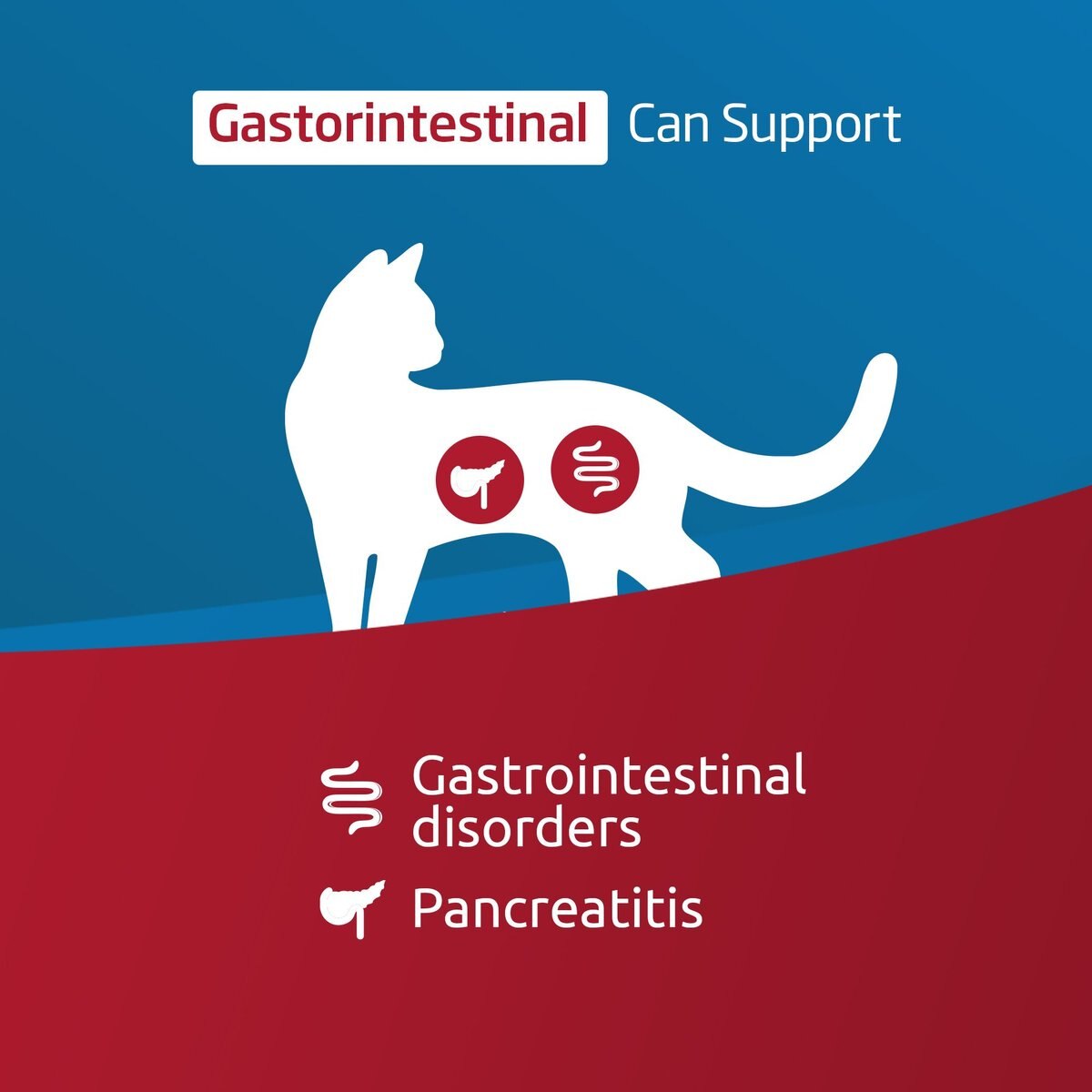 FARMINA VET LIFE Cat Gastrointestinal Recipe Wet Cat Food, 3-oz can ...