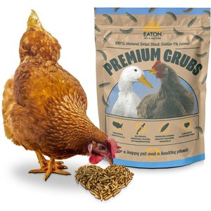Eaton Pet & Pasture Premium Grubs USA Grown Black Soldier Fly Larvae Bird Treats, 1.5-lb bag