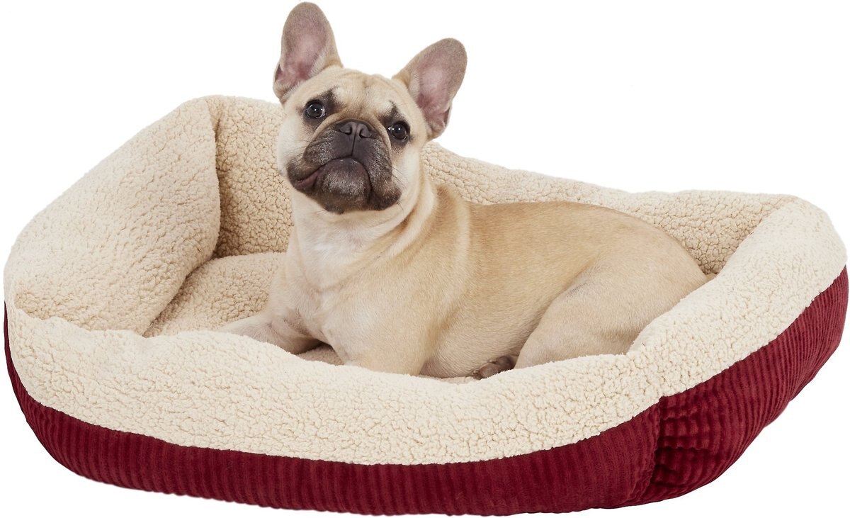ASPEN PET SelfWarming Bolster Cat & Dog Bed, Warm Spice/Cream, 30in