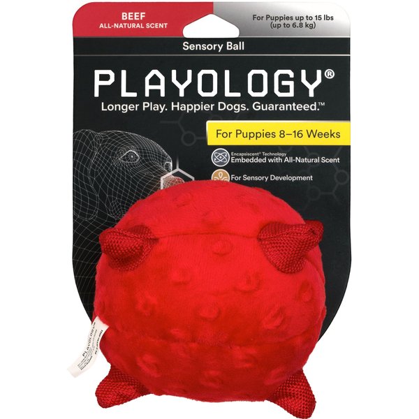 Playology Puppy Sensory Snail Peanut Butter Dog Toy, Blue, Small