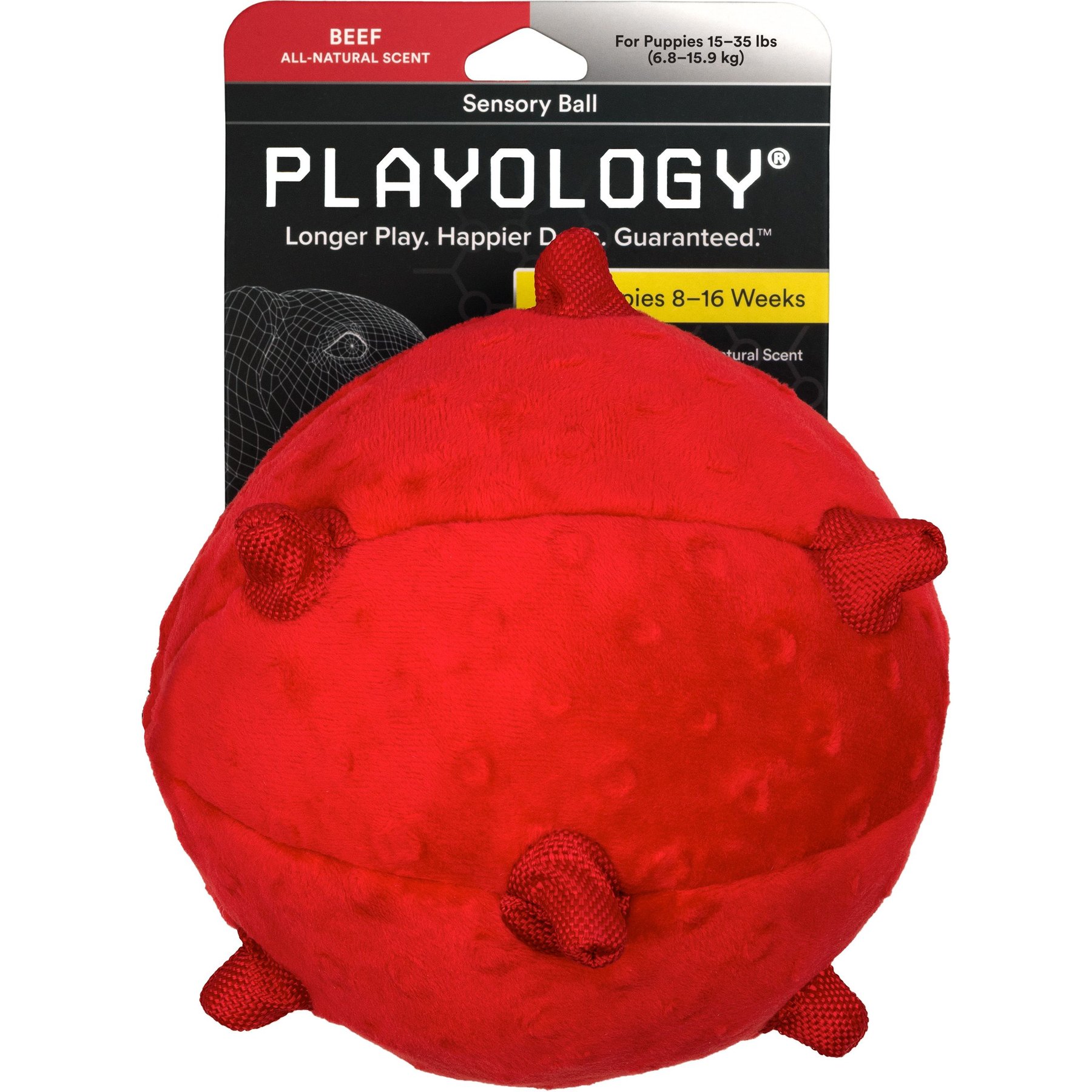 Playology Puppy Sensory Rope Beef Dog Toy, Red, Small