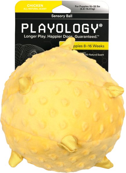 Buy Playology Plush Squeaky Dog Toy for Moderate Chewers - Medium