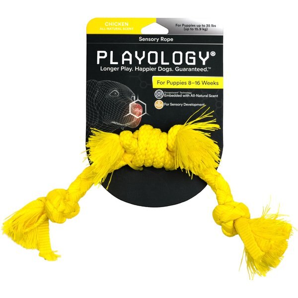 PLAYOLOGY Puppy Sensory Rope Chicken Dog Toy, Yellow, Small